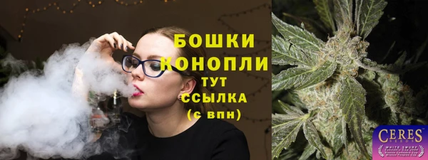 ГАЛЛЮЦИНОГЕННЫЕ ГРИБЫ Баксан