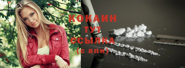 ГАЛЛЮЦИНОГЕННЫЕ ГРИБЫ Баксан