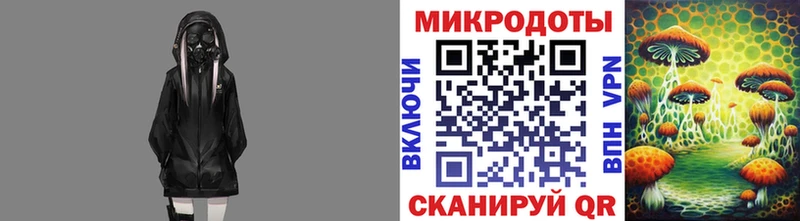 Псилоцибиновые грибы Psilocybe  купить закладку  кракен онион  Гай 